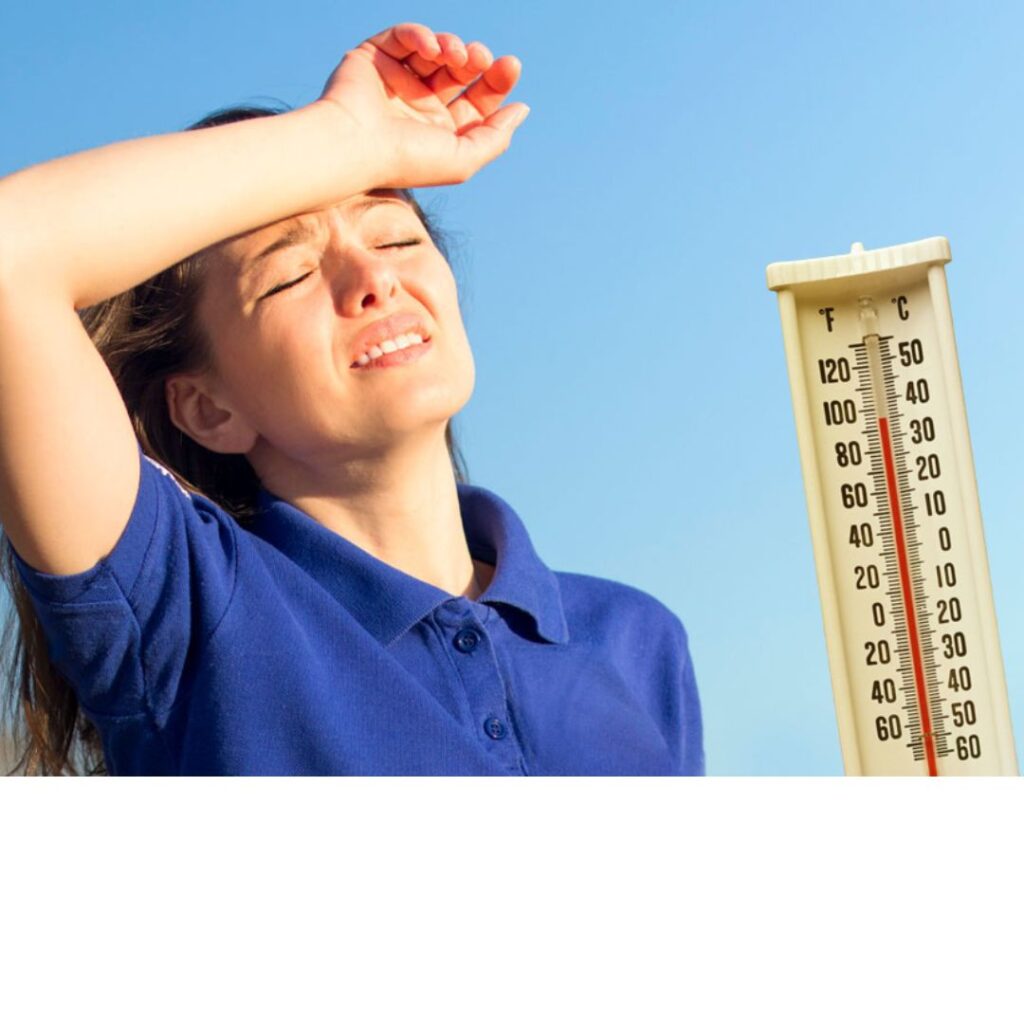 summer seassion summer seassion