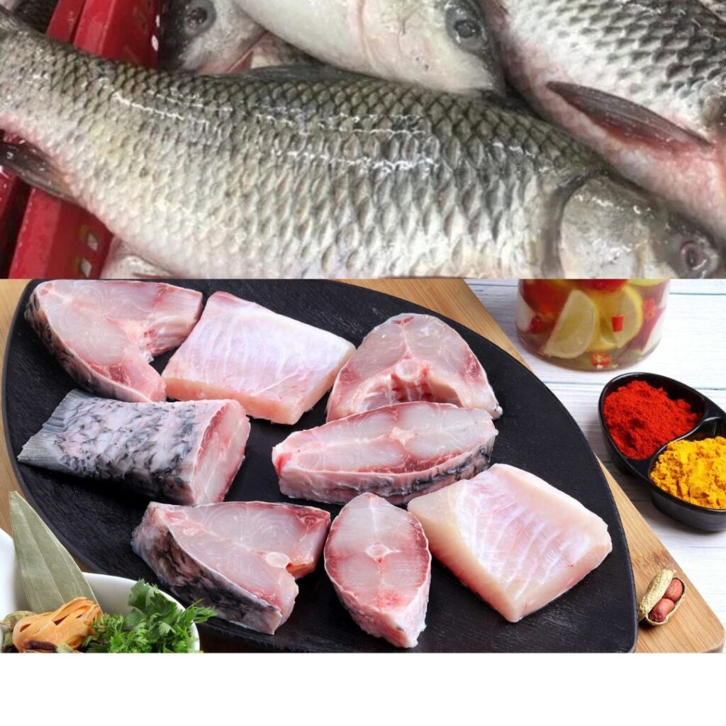 protein in fish