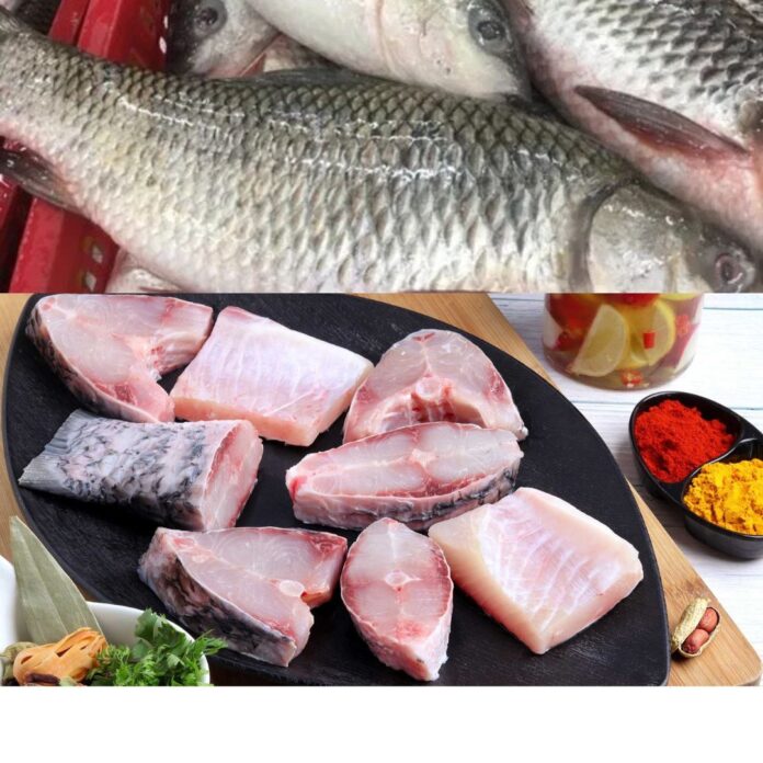 protein in fish